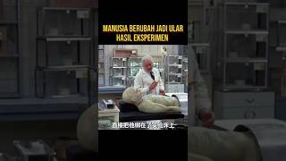 Download lagu MANUSIA HASIL EKSPERIMEN DENGAN ULAR COBRA #alurceritaflim #film mp3
