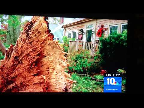 What A Night. Trees Down in New Bedford (10 27 2021)