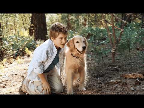 Diamond Dog Caper 🐶 Filme completo dublado 🎬 Uma comedia engraçada sobre amigos de quatro pata