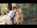 Diamond Dog Caper Filme Completo Dublado Uma Comedia Engraçada Sobre Amigos De Quatro Pata