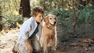 Travessuras de cachorro 🐶 Filme completo dublado 🎬 Uma comedia engraçada sobre amigos de quatro pata