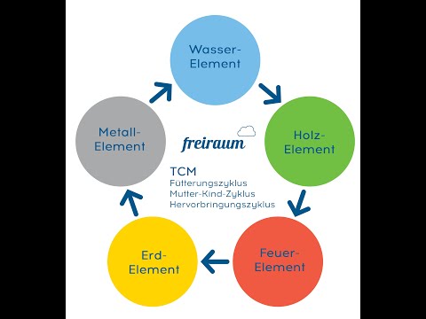 TCM-Grundlagen: Ernährungs- oder Fütterungs-Zyklus