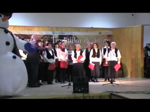 Curtici - Corul Mixt al Parohiei Curtici, concert de colinde