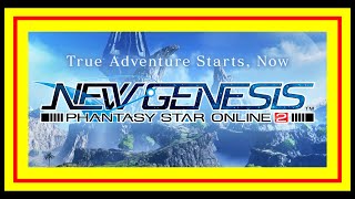 【PSO2NGS】危険なNGS