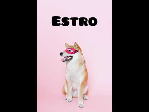 🐕 El celo en las perritas 🐩 Fases y síntomas 🐶🐾