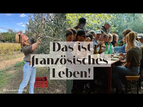 AFTER THIS VIDEO, YOU'LL WANT TO EMIGRATE TO FRANCE! | Our Life in the South of France (ReUp)