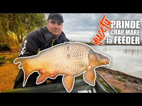 Ce trebuie sa stii cand mergi pe un lac nou pescuind la feeder | lacul Nucetu