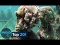 Top 20 Deep Sea Mysteries That Will Freak You Out Top 20 Deep Sea Mysteries That Will Freak You Out