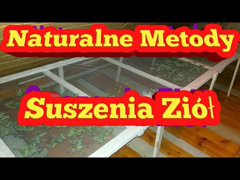 Kolacja kulturystyka Obrzęk nogi w kulturystyce