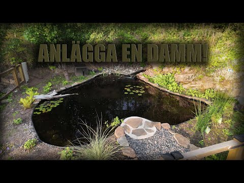 HUR MAN GRÄVER EN DAMM! "Med spade..."