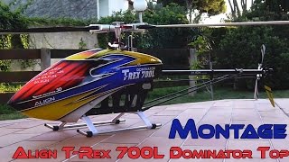 Montage T-Rex 700L Dominator Top