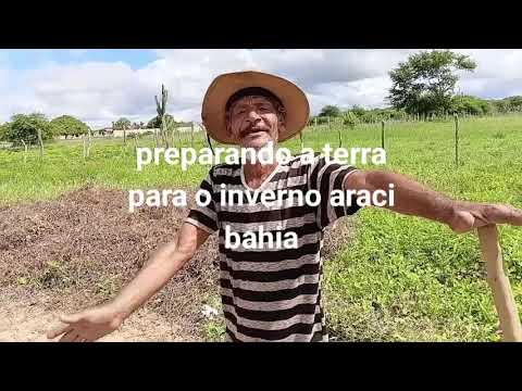 Preparando a terra para o nosso inverno  araci bahia