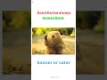 Good Karma Always Comes Back Motivational Whatsapp Status Video Good Karma Status