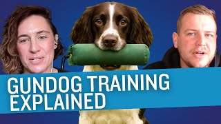 How to Raise Gundogs: Avoid These Mistakes!
