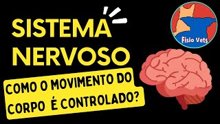 Neurofisiologia - Sistema Piramidal e extrapiramidal - fisiologia veterinária