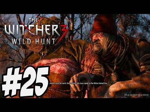 The Witcher 3 Wild Hunt - Gameplay Walkthrough Part 25 [ HD ]