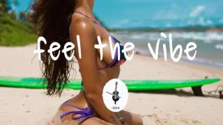 The Free - The Vibe of a Mango