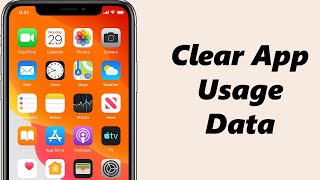 How To Clear App Usage Data On iPhone