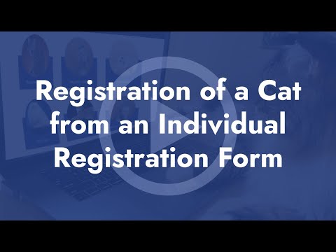 Registration of a Cat from an Individual Registration Form