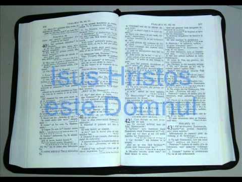 19 - PSALMI - Cartea a Doua - Vechiul Testament - Biblia Audio Romana