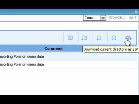Version Control, Reporting and SVN in Polarion