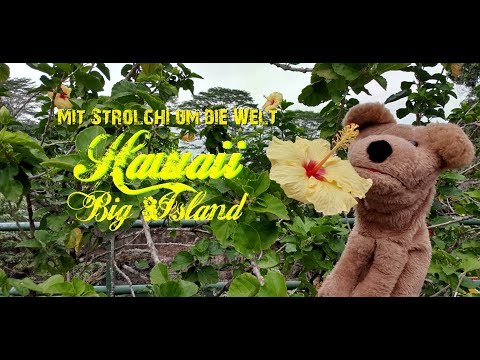 Mit Strolchi um die Welt -  HAWAII