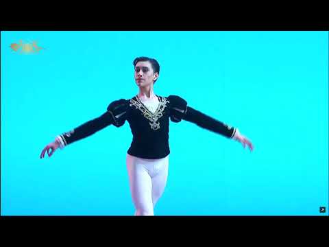 Roma Hudzeleu (Belarus) - Siegfried Variation | XIV Moscow Ballet Competition, Junior Round 3
