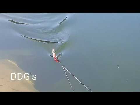 DDG's Glide baits from Insanity Tackle