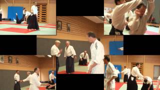 preview picture of video 'Stage d'Aikido animé par Arnaud Waltz - Le Rheu - Mai 2014'