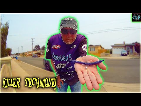 CATCH 10X more BASS on a WEIGHTED WACKY RIG (bass fishing tips).