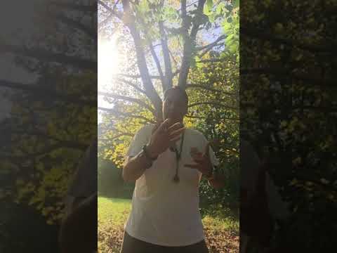 Moment Meditation ❤️❤️❤️☀️🦁🐯❤️☀️