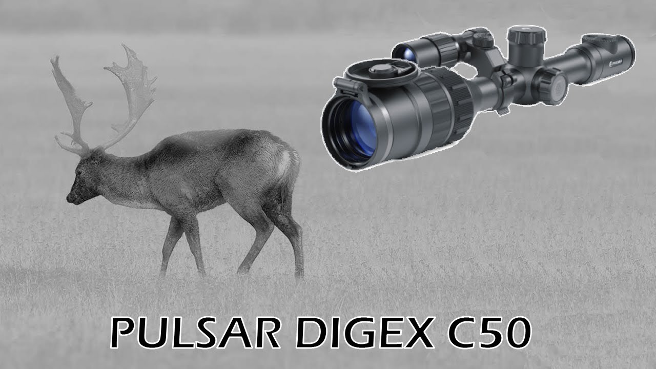 Watch 🐗 Review Pulsar Digex C50 | Visor Nocturno y Diurno 🌑🌞 Now 🐗 Review Pulsar Digex C50 | Visor Nocturno y Diurno 🌑🌞