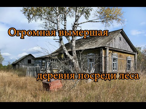 ОГРОМНАЯ ЗАБРОШЕННАЯ ДЕРЕВНЯ ПОСРЕДИ ЛЕСА