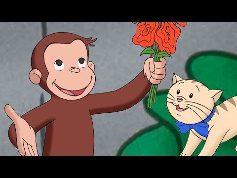 ¿Qué es una alergia? | Jorge El Curioso En Español