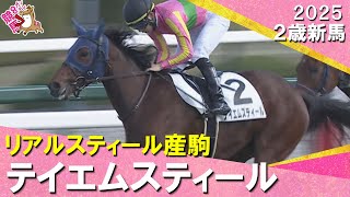 リアルスティール産駒テイエムスティールが突き抜けてデビュー勝ち！田山騎手「馬に助けてもらいました」2025年12月14日(日)２歳新馬　阪神芝1400m　実況：川島壮雄【カンテレ公式】