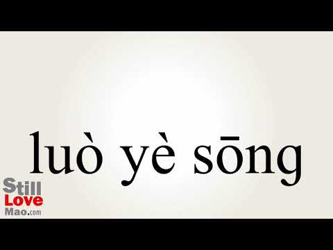 How to Say Larches in Chinese