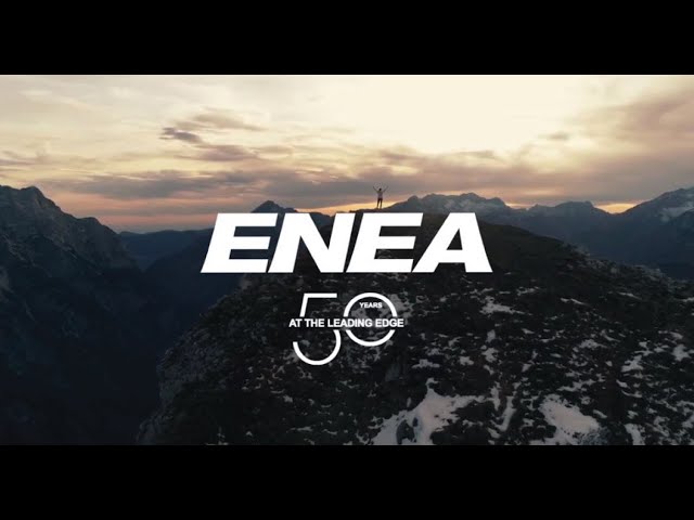 About Enea AB