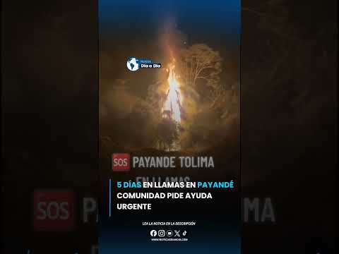 #tolima  | Cinco días de incendio mantienen en alerta a la comunidad de Payandé