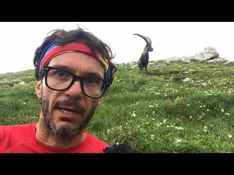 ERTO - Passo San Osvaldo - San Martino - rifugio cas. Mela e Maniago - forcella Duranno e Lodina