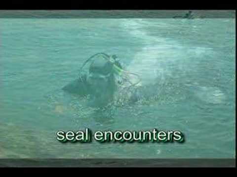 United Divers of New Hampshire