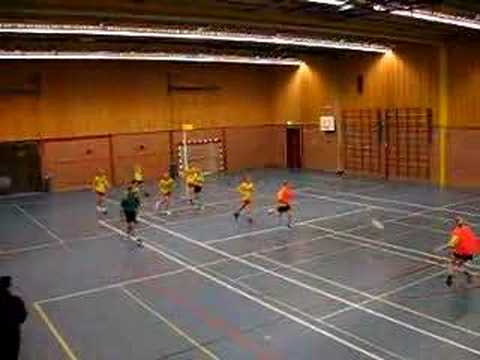 KCT A1 - Flamingo's A2