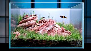 This Nano Aquarium was Perfect… Now It’s Falling Apart!