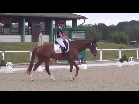 Boa Vista & Greta Heemsoth   Prüfung