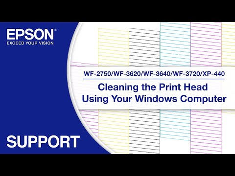 Cleaning the Print Head via Windows