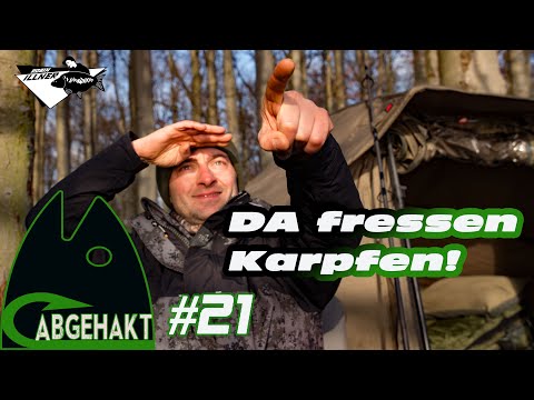 ABGEHAKT #21: DA FRESSEN KARPFEN!