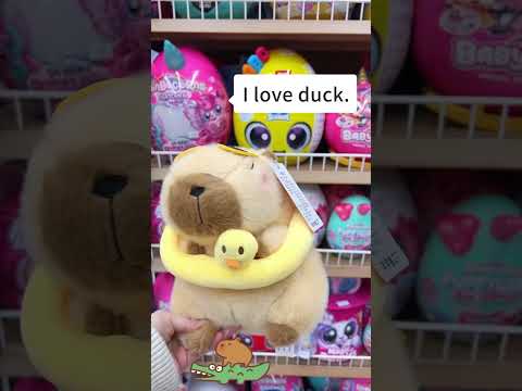 Hey Capybaras, What do you like best?  #cute #capybara #plushtoys