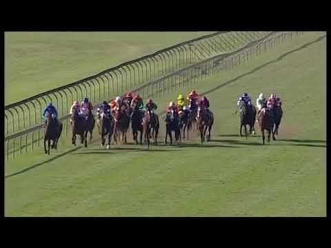 2019.05.25 Allan Robertson Championship (RSA) - Miss Florida