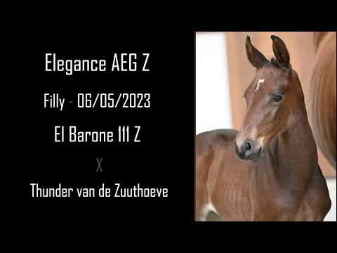 Elegance AEG Z