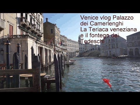 Place at Rialto and curiosity.