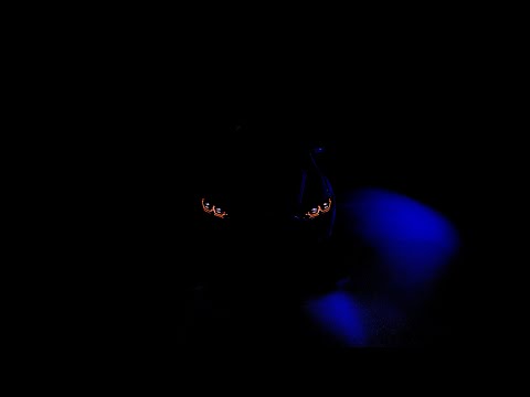 Bangers Boom 2025 Year Mix